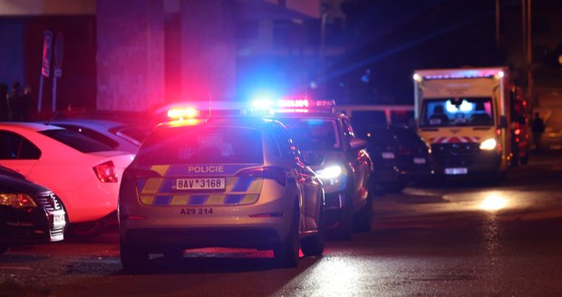 Vražda ve Slévačské ulici, 3. září 2026