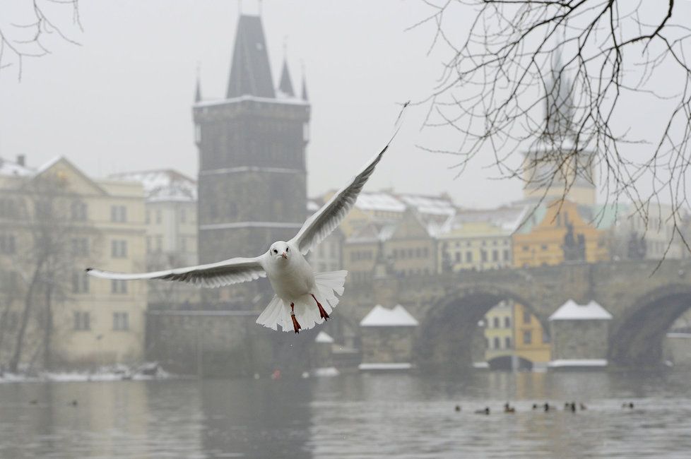 Takto vypadá Praha zahalená smogem.