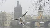 Vytáhněte oteplováky! Teploty v Praze klesnou až na -12 stupňů Celsia