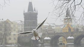 V Praze bude mrznout ještě intenzivněji.