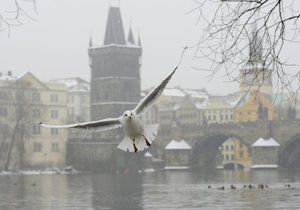 Takto vypadá Praha zahalená smogem.