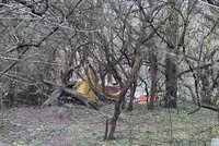 Smrt holčičky (†3) v Praze 4: Příbuzného obvinili z vraždy! Hrozí mu výjimečný trest