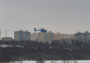 Dívka v Hostivaři spadla z koně, letěl pro ni vrtulník (8. února 2021).