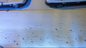 Sníh v Praze, 26. listopadu 2025