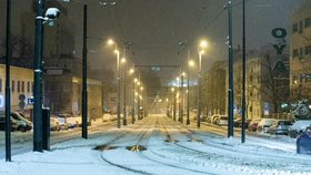 Teplotní skoky na úvod března: Pražané se nevyhnou vichru, sněhu, srážkám, ani mrazíkům