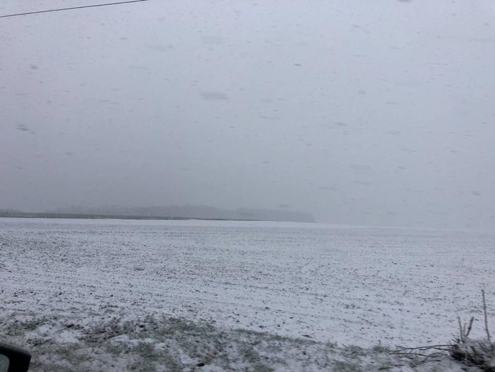 V Praze a okolí 5. dubna 2021 sněžilo.