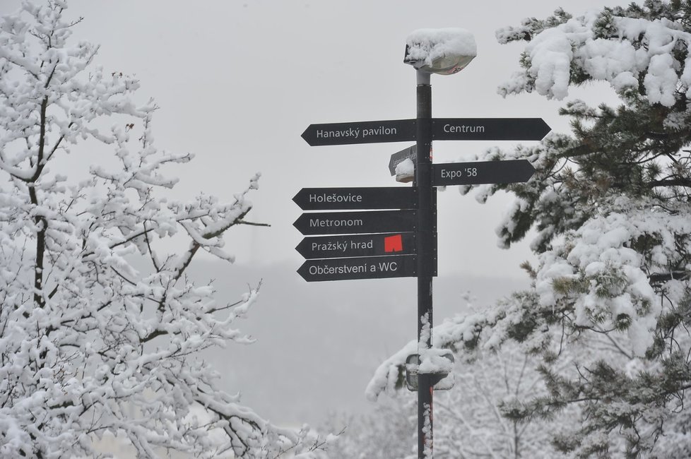 V Praze napadl sníh (3.2.2019).