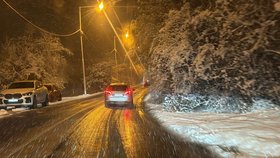 Sněhová kalamita v Praze, 26. listopadu 2025.