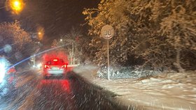 Sněhová kalamita v Praze, 26. listopadu 2025.