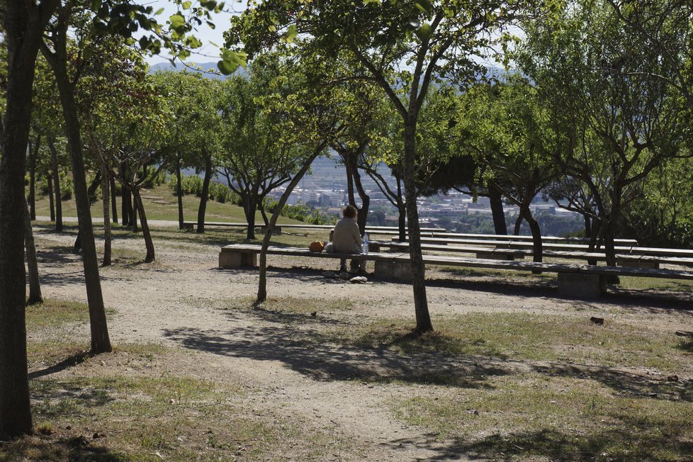 Takto vypadá park Collserola v Barceloně, kde se chce Praha inspirovat.