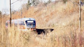 Vlaky v Praze musely zastavit kvůli hozeným kamenům: Pachatelé na útěku, policie po nich pátrá