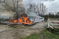 Při požáru stájí na Císařském ostrově přišli o osm koní: Jezdecká škola žádá o pomoc