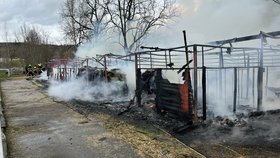 Požár stájí na Císařském ostrově v Praze. (11. dubna 2023)