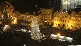 Začíná hledání vánočního stromu pro Prahu. Vítěz získá 10 tisíc korun