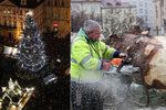 Truhláři převezou dřevo z vánočního stromu na Staroměstském náměstí do Brna. Mají s ním šlechetné záměry.