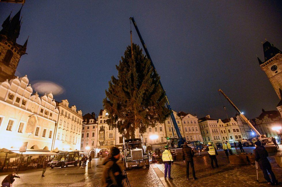 Na Staroměstské náměstí v Praze dorazil v noci na 26. listopadu 2019 vánoční strom.