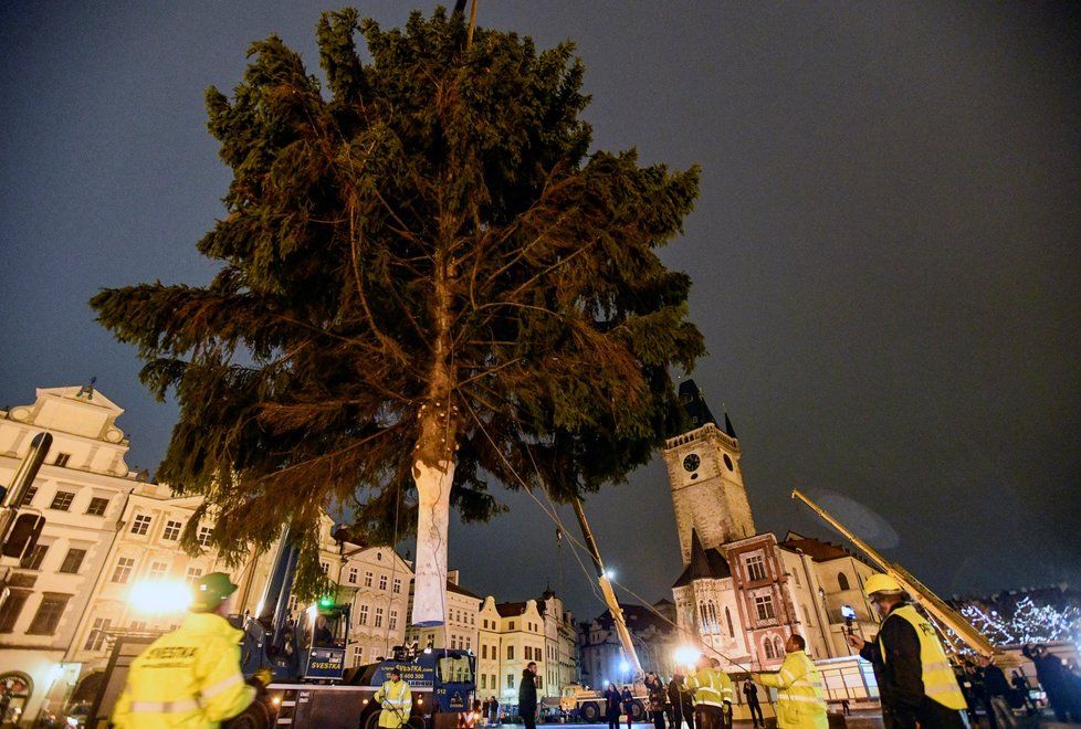 Na Staroměstské náměstí v Praze dorazil v noci na 26. listopadu 2019 vánoční strom.