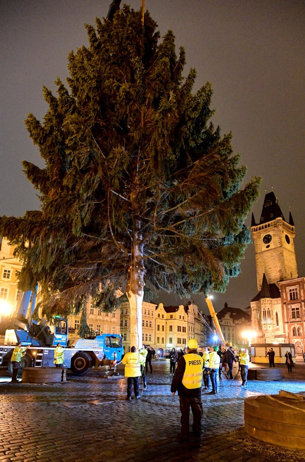 Na Staroměstské náměstí v Praze dorazil v noci na 26. listopadu 2019 vánoční strom.