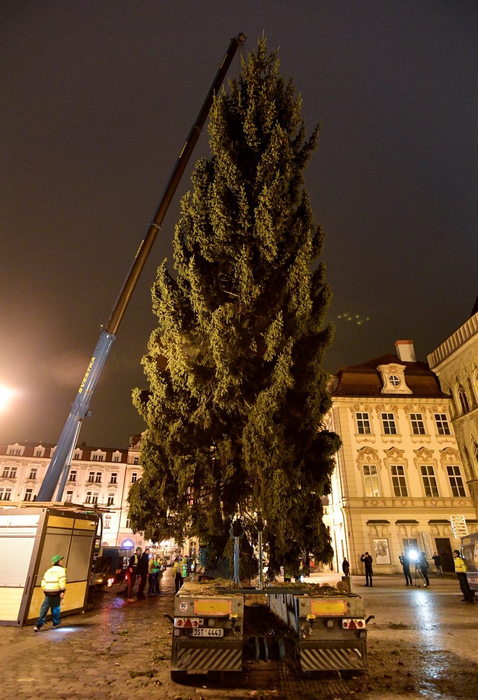 Na Staroměstské náměstí v Praze dorazil v noci na 26. listopadu 2019 vánoční strom.