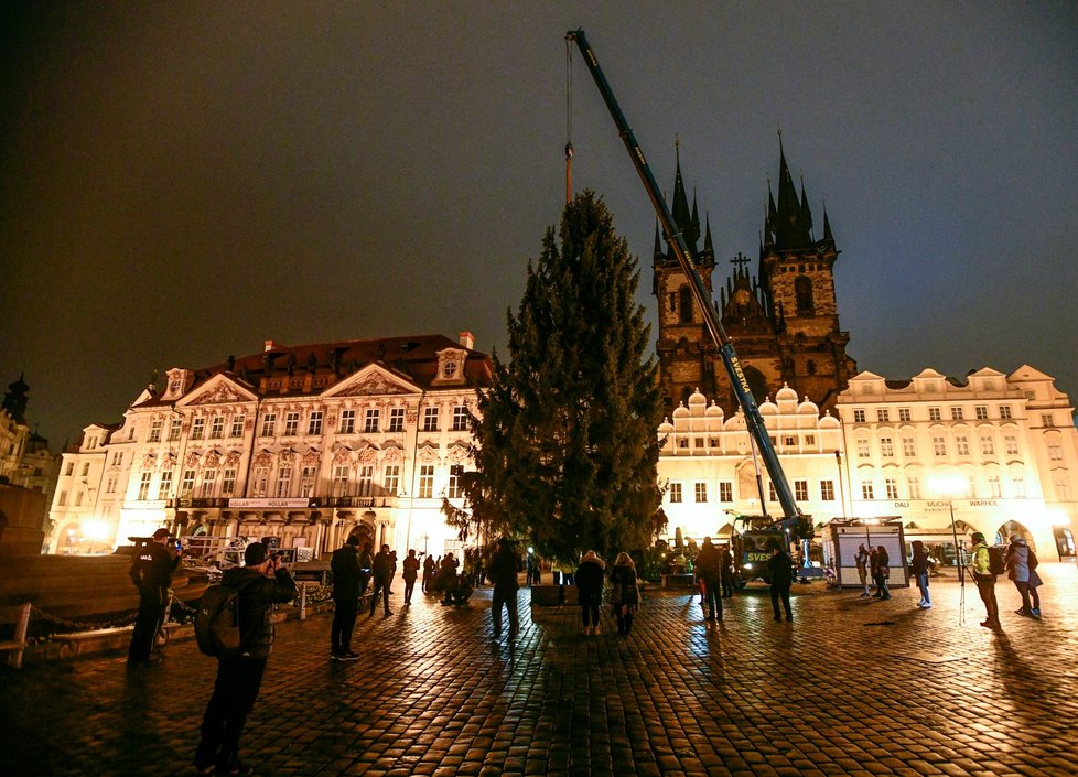 Na Staroměstské náměstí v Praze dorazil v noci na 26. listopadu 2019 vánoční strom.