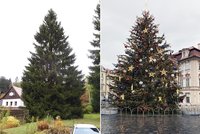 Rozsvěcení vánočního stromu na Staroměstském náměstí se ruší kvůli epidemické situaci. Trhy se konat budou