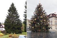 Rozsvěcení vánočního stromu na Staroměstském náměstí se ruší kvůli epidemické situaci. Trhy se konat budou