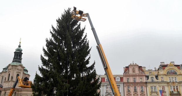 Zdobení vánočního stromu na Staroměstském náměstí v Praze bylo zahájeno 26. listopadu 2019.