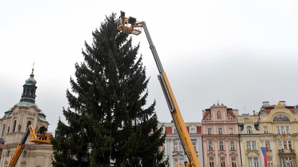 Zdobení vánočního stromu na Staroměstském náměstí v Praze bylo zahájeno 26. listopadu 2019.