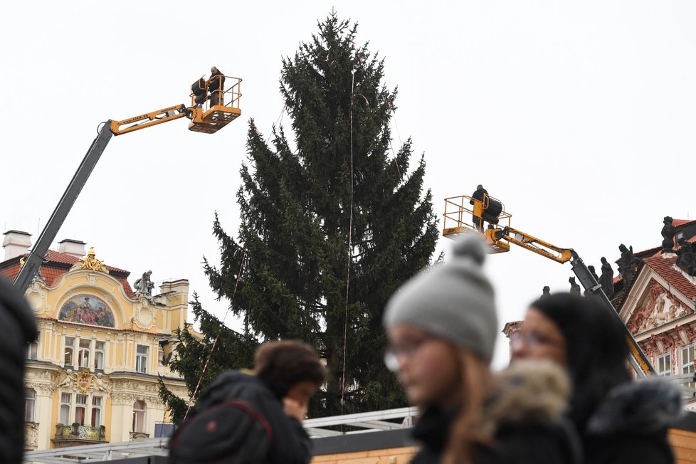 Zdobení vánočního stromu na Staroměstském náměstí v Praze bylo zahájeno 26. listopadu 2019.