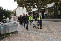 Fenka, která zastavila metro, neutekla poprvé! Její výlet se majitelce prodražil