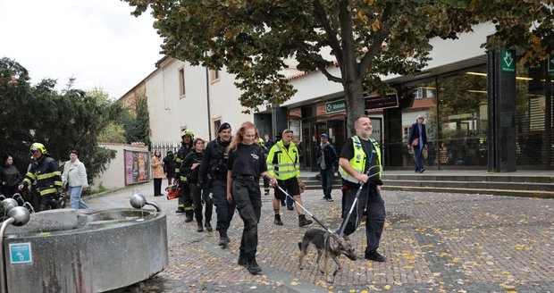 Štěně na pět hodin zastavilo pražské metro, chytli ho na Malostranské. (16. října 2025)