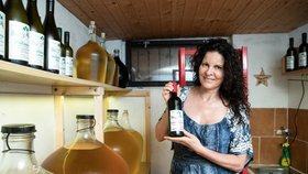 Jedinečná vinná laboratoř ve Stodůlkách: S výrobou moravského vína pomáhá „Karkulka“