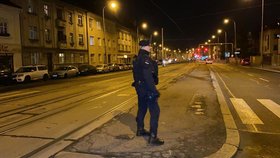 Na přechodu v ulici V Olšinách našli zkrvaveného muže.