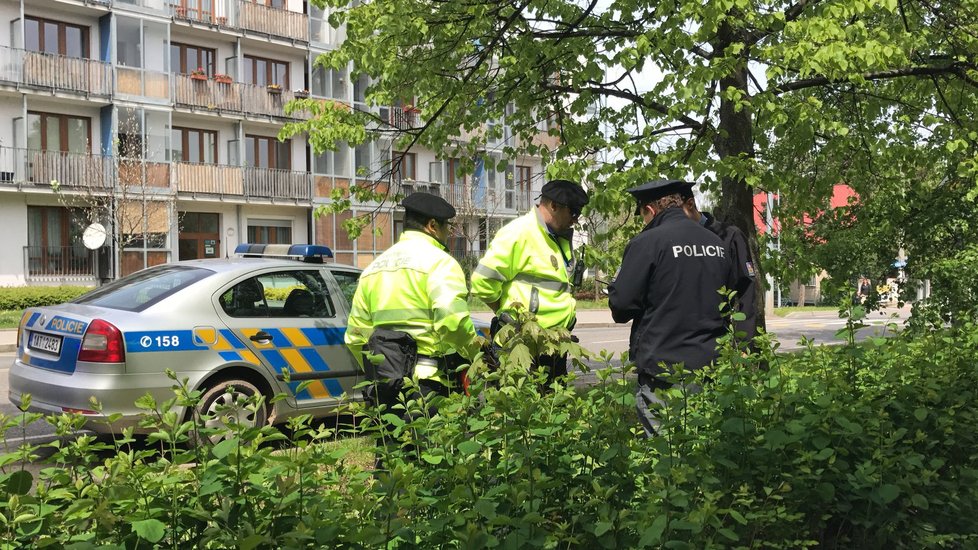 Muž ve Zbraslavi srazil strážníka. Vypisoval mu pokutu.