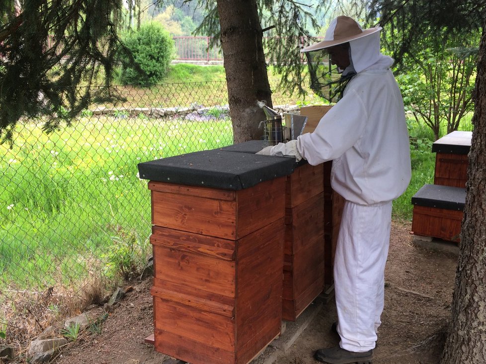 Milan (61) chová včely už druhým rokem. S včelařením je ale spoustu práce
