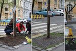 Spolek Street Gardening společně s místními občany vytváří krásné malé zahrádky uprostřed ulic. Tato vznikla ve středu v Kubelíkově ulici na Žižkově