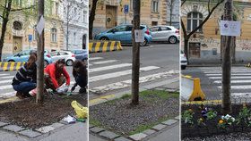 Nadšenci na ulicích vytváří vlastní malé zahrádky: Pražané jim za to děkují