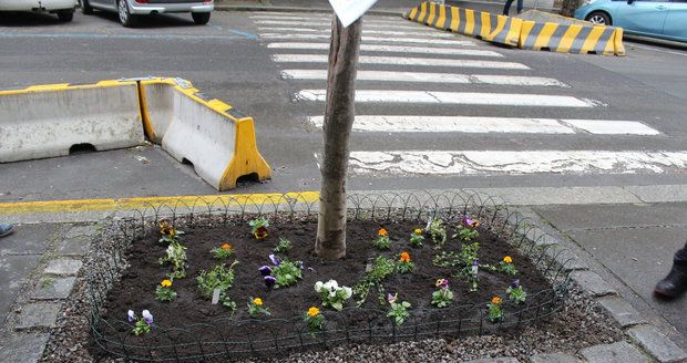 Spolek Street Gardening společně s místními občany vytváří krásné malé zahrádky uprostřed ulic. Tato vznikla ve středu v Kubelíkově ulici na Žižkově.