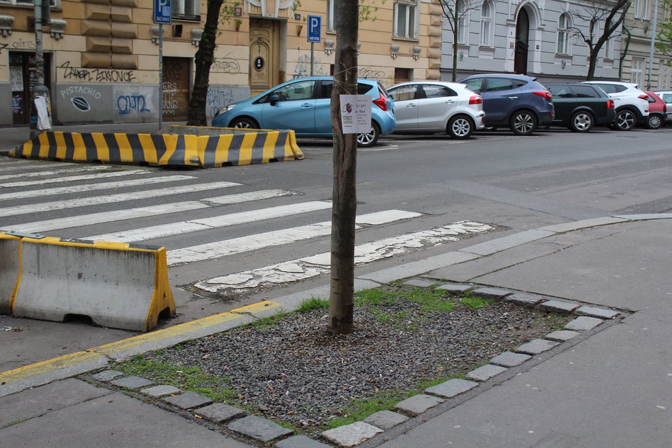 Spolek Street Gardening společně s místními občany vytváří krásné malé zahrádky uprostřed ulic. Tato vznikla ve středu v Kubelíkově ulici na Žižkově