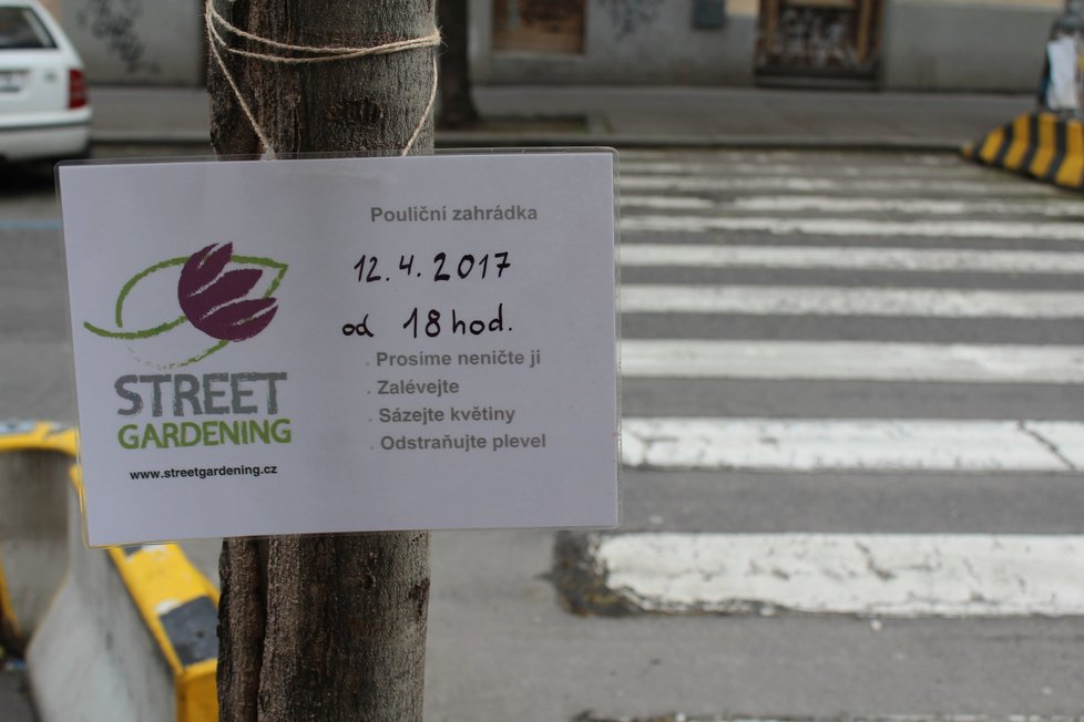 Spolek Street Gardening společně s místními občany vytváří krásné malé zahrádky uprostřed ulic. Tato vznikla ve středu v Kubelíkově ulici na Žižkově