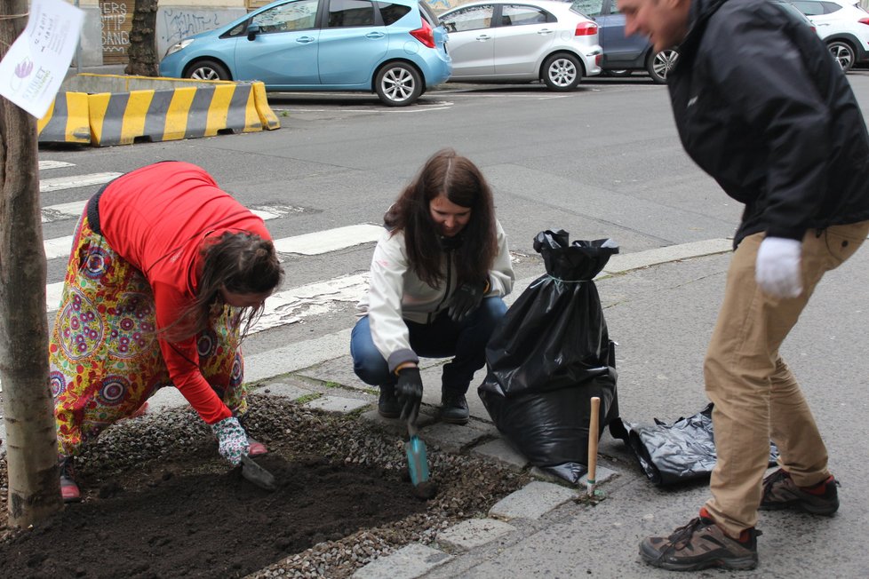 Spolek Street Gardening společně s místními občany vytváří krásné malé zahrádky uprostřed ulic. Tato vznikla ve středu v Kubelíkově ulici na Žižkově