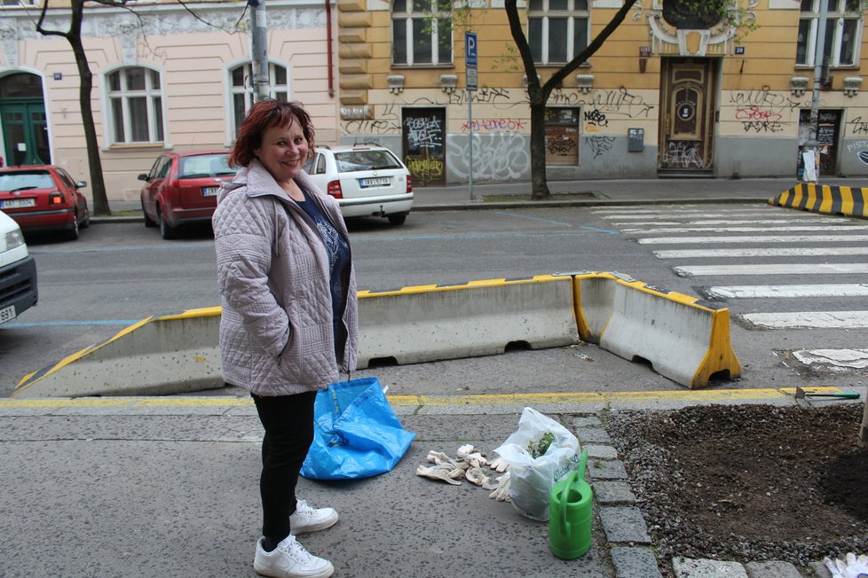 Spolek Street Gardening společně s místními občany vytváří krásné malé zahrádky uprostřed ulic. Tato vznikla ve středu v Kubelíkově ulici na Žižkově