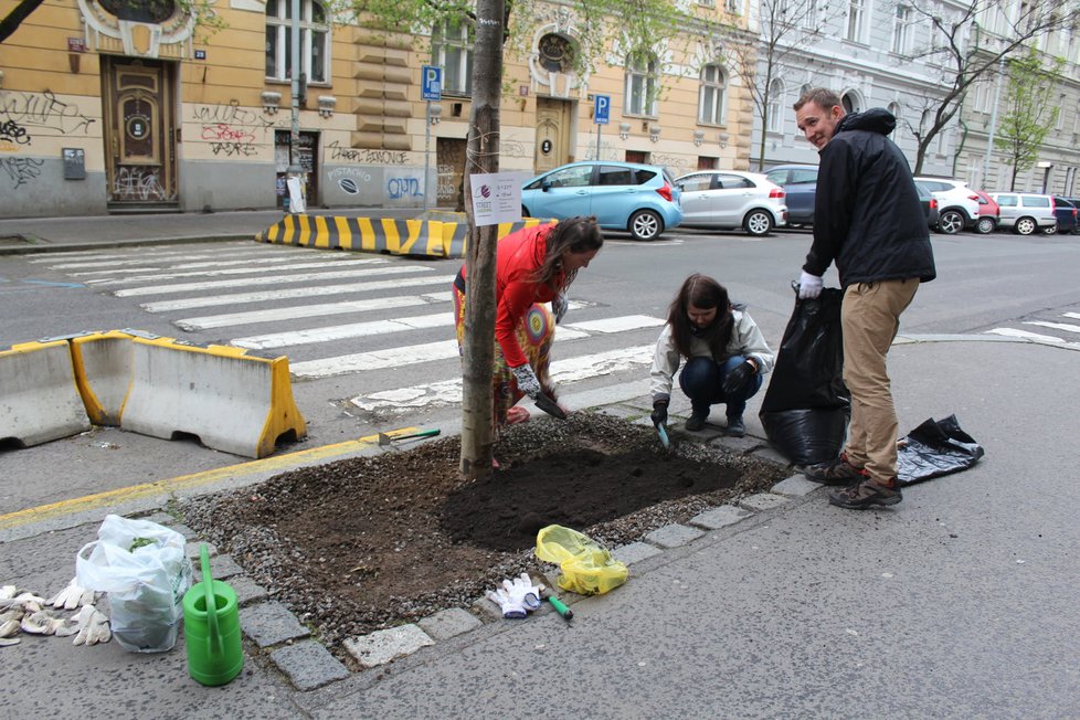 Spolek Street Gardening společně s místními občany vytváří krásné malé zahrádky uprostřed ulic. Tato vznikla ve středu v Kubelíkově ulici na Žižkově