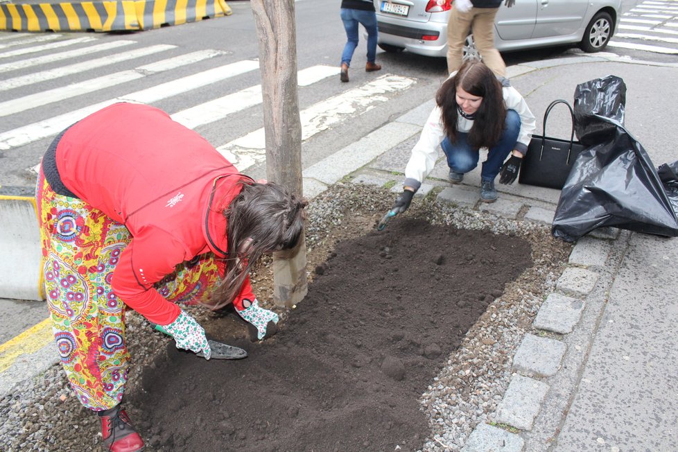 Spolek Street Gardening společně s místními občany vytváří krásné malé zahrádky uprostřed ulic. Tato vznikla ve středu v Kubelíkově ulici na Žižkově