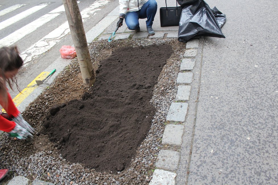 Spolek Street Gardening společně s místními občany vytváří krásné malé zahrádky uprostřed ulic. Tato vznikla ve středu v Kubelíkově ulici na Žižkově