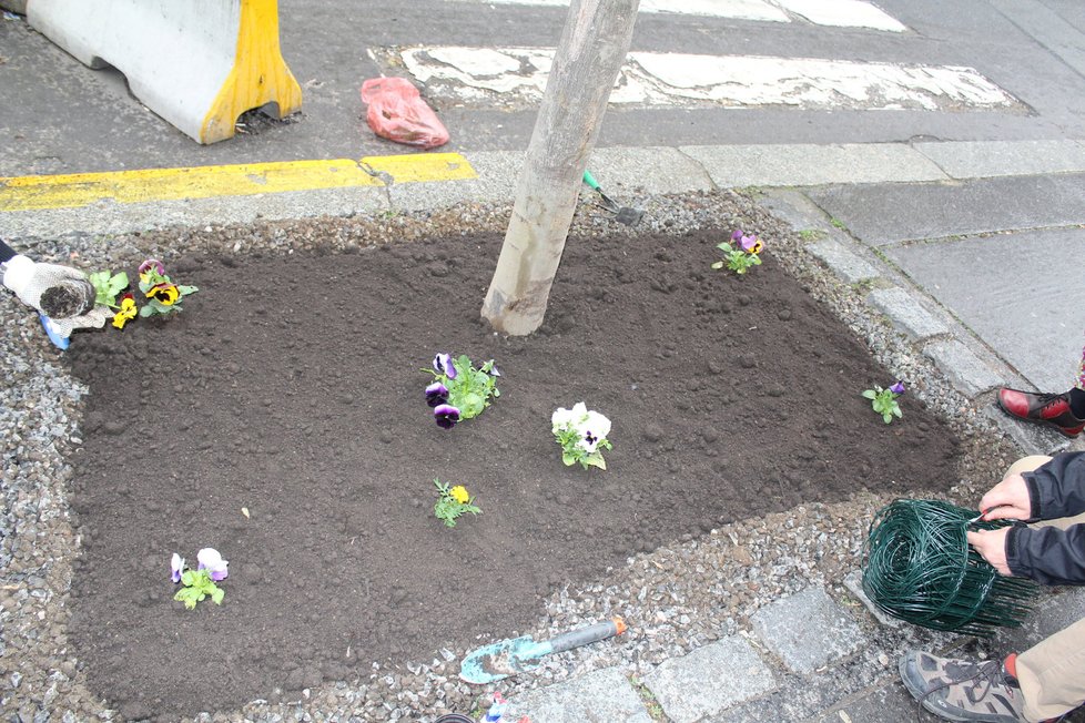 Spolek Street Gardening společně s místními občany vytváří krásné malé zahrádky uprostřed ulic. Tato vznikla ve středu v Kubelíkově ulici na Žižkově