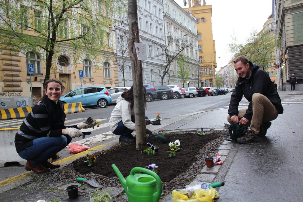 Spolek Street Gardening společně s místními občany vytváří krásné malé zahrádky uprostřed ulic. Tato vznikla ve středu v Kubelíkově ulici na Žižkově