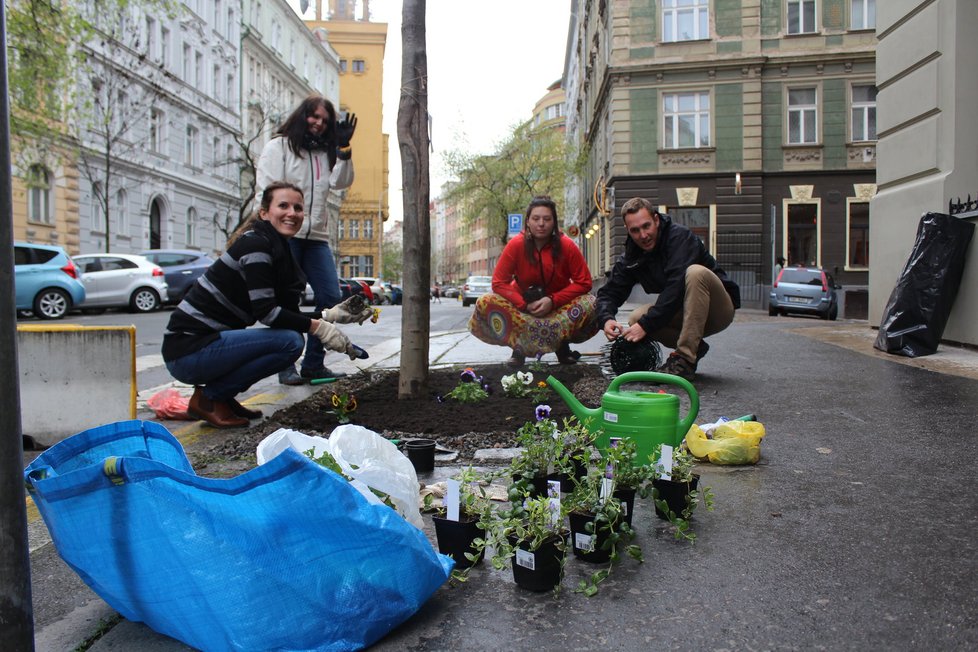 Spolek Street Gardening společně s místními občany vytváří krásné malé zahrádky uprostřed ulic. Tato vznikla ve středu v Kubelíkově ulici na Žižkově