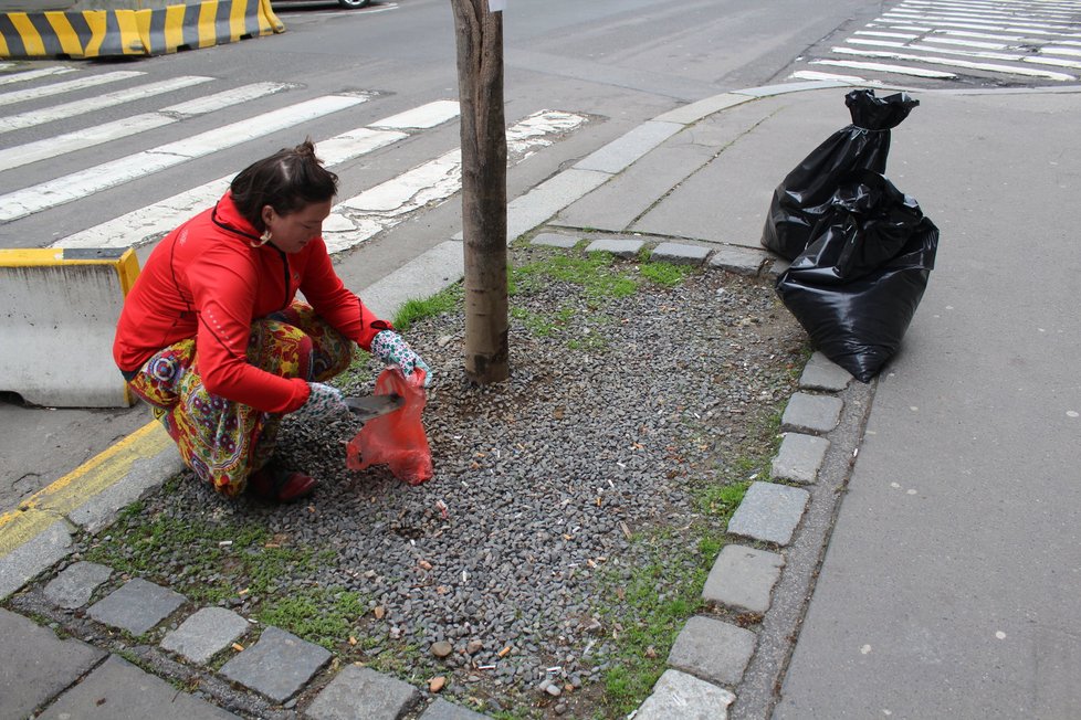 Spolek Street Gardening společně s místními občany vytváří krásné malé zahrádky uprostřed ulic. Tato vznikla ve středu v Kubelíkově ulici na Žižkově