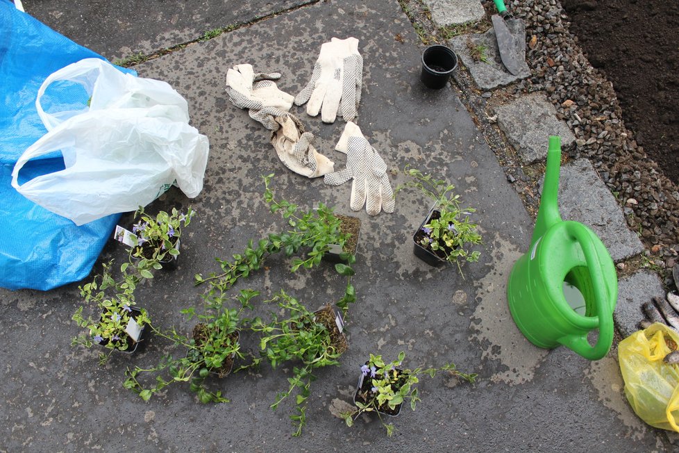 Spolek Street Gardening společně s místními občany vytváří krásné malé zahrádky uprostřed ulic. Tato vznikla ve středu v Kubelíkově ulici na Žižkově